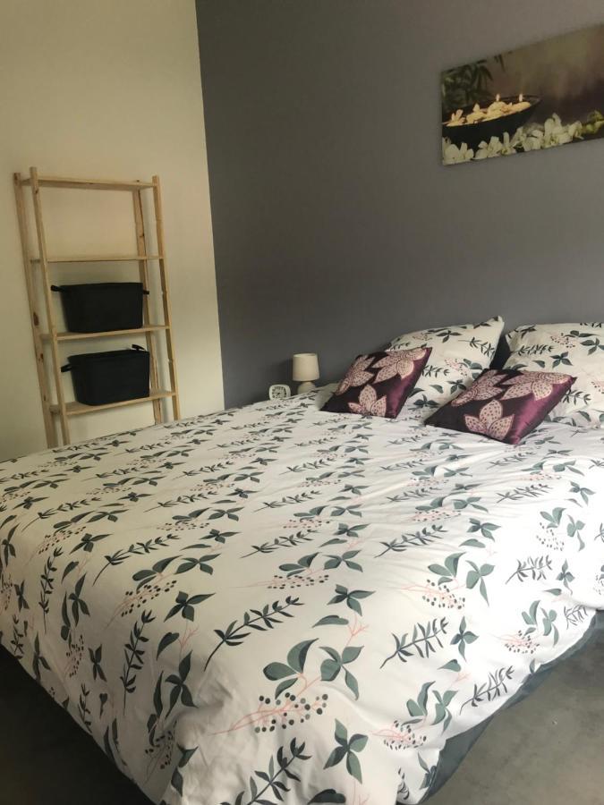 Appartement A Tarascon Sur Ariege Le Sabart מראה חיצוני תמונה