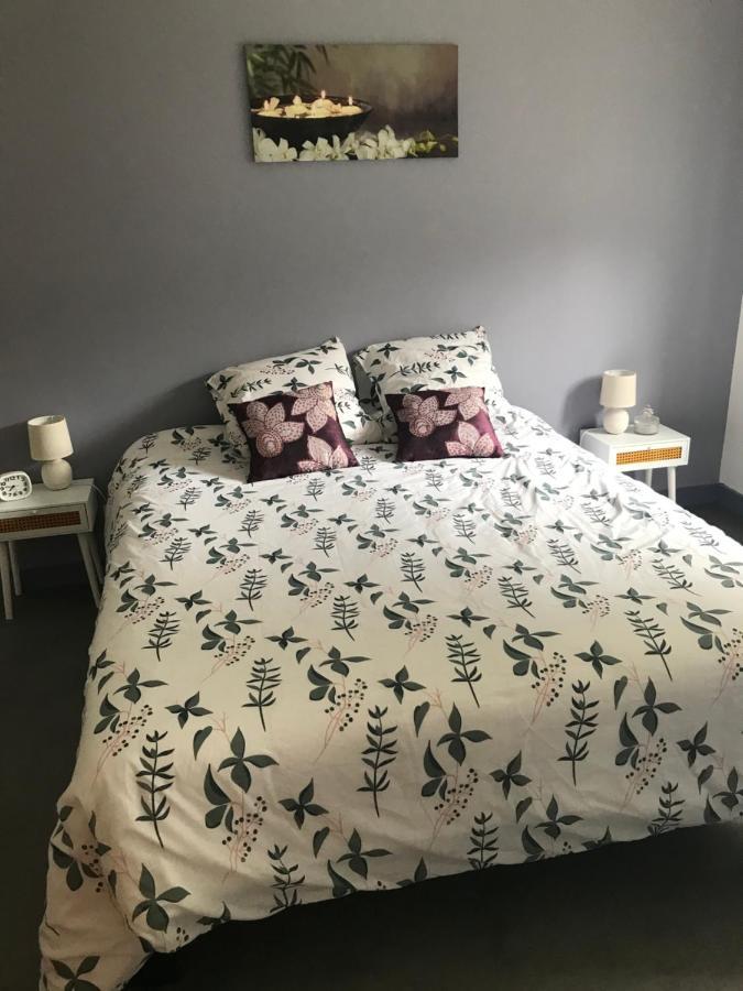 Appartement A Tarascon Sur Ariege Le Sabart מראה חיצוני תמונה
